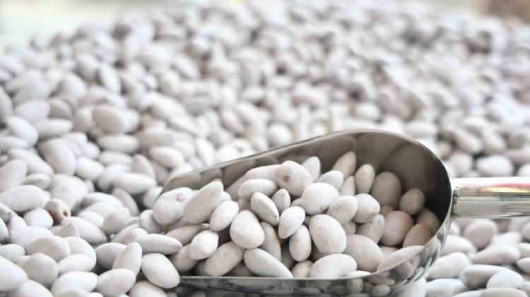 <p><strong>Y&ouml;re halkının iftardan sonraki &ccedil;ay saatlerinde &ccedil;erez ya da tatlı niyetine t&uuml;kettiği badem şekeri, 11 ayda işletmelerde g&uuml;nl&uuml;k 150 kilogram arasında t&uuml;ketilirken Ramazan ile beraber 10 tona kadar &uuml;retim hacmine ulaştı.</strong></p>
