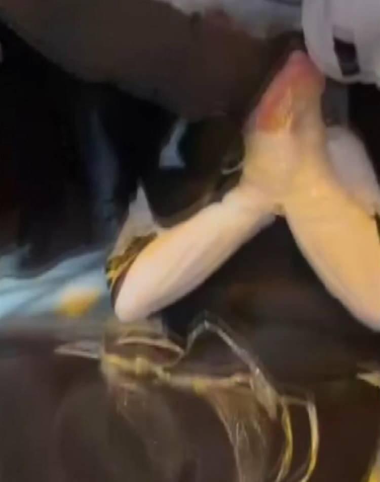 <p>G&ouml;zaltına alınan ş&uuml;phelilerin &uuml;zerinde yapılan aramalarda, 1 ş&uuml;phelinin &uuml;zerinden bir miktar uyuşturucu madde ele ge&ccedil;irildi.</p>
