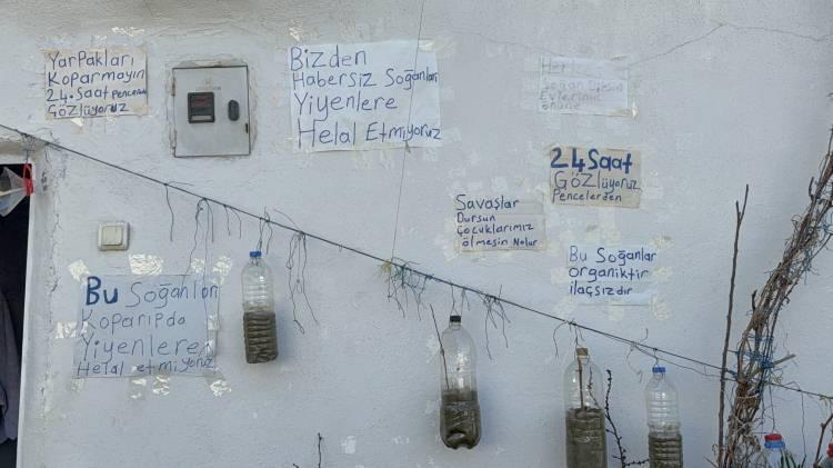 <p><span style="color:#A52A2A"><strong>UYARI YAZISI BİLE ASTI&nbsp;</strong></span></p>

<p>&nbsp;</p>

<p>Ancak zaman zaman mahalledeki &ccedil;ocukların soğanları koparması &uuml;zerine ilgin&ccedil; bir &ouml;nlem alan Demirkan, duvarlara uyarı yazıları asarak &uuml;r&uuml;nlerini korumaya &ccedil;alışıyor.</p>
