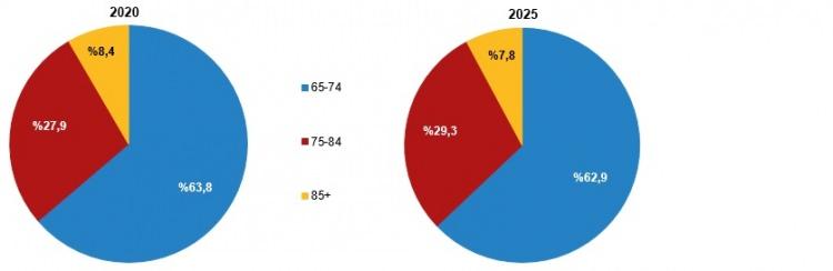 <p>Eryurt, yaşlı n&uuml;fusun artışından en fazla etkilenecek alanların başında sağlık ve sosyal g&uuml;venlik sistemlerinin geldiğine dikkati &ccedil;ekerek, bu n&uuml;fusun artmasına paralel olarak bakım ihtiyacı ve sağlık harcamalarının arttığını bildirdi.</p>
