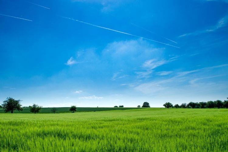 <p>Farklı kullanım t&uuml;rlerine sahip arsalar arasında ticaret, konut, plansız alan, tarım ve kentsel gelişim alanları yer alıyor. T&uuml;m arsalar a&ccedil;ık artırma y&ouml;ntemiyle yeni sahiplerini bulacak.</p>
