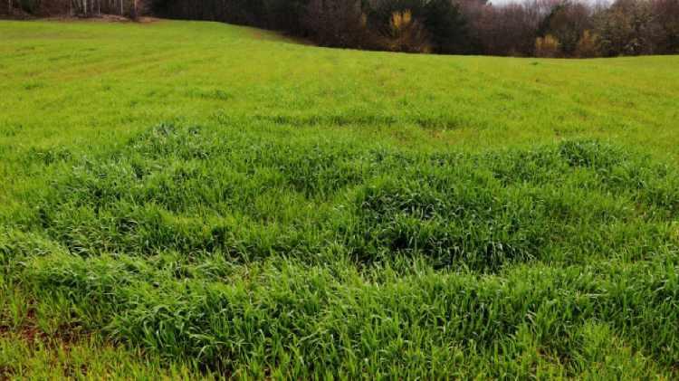 <p>&bull; Muhammen Bedeli 300.000 TL ile 999.999 TL&rsquo;ye kadar olan gayrimenkuller i&ccedil;in 50.000 TL,</p>
