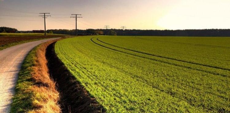 <p>&bull; Muhammen Bedeli 20.000.000 TL ile 29.999.999 TL&rsquo;ye kadar olan gayrimenkuller i&ccedil;in 2.500.000 TL,</p>
