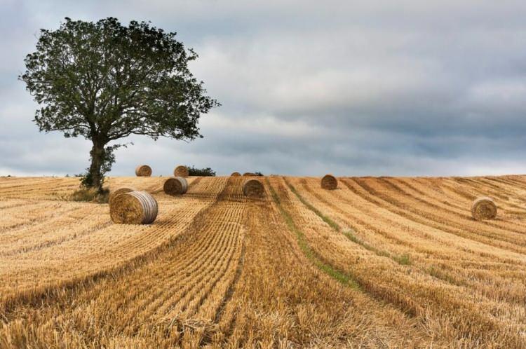 <p>&bull; Muhammen Bedeli 1.000.000 TL ile 3.999.999 TL&rsquo;ye kadar olan gayrimenkuller i&ccedil;in 250.000 TL,</p>
