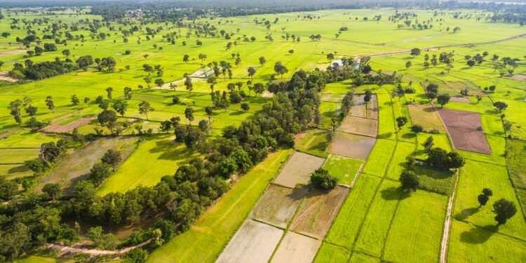 <p>&bull; Muhammen Bedeli 300.000.000 ve &uuml;st&uuml; gayrimenkuller i&ccedil;in TL 32.000.000 TL &ouml;deme yapmaları gerekecek.</p>
