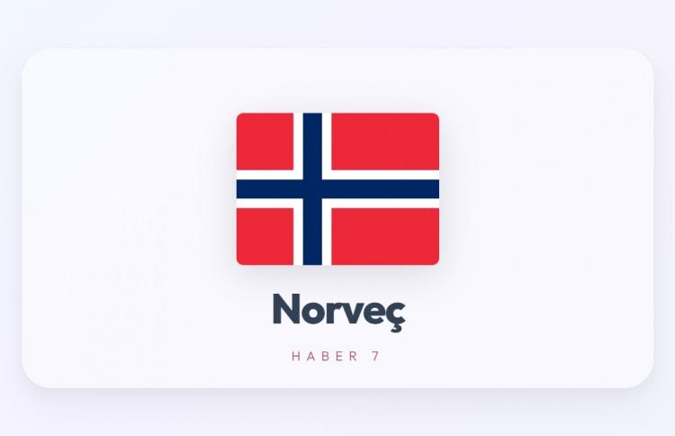 <p><span style="color:#B22222"><strong>NORVE&Ccedil;</strong></span></p>

