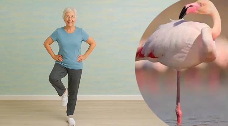 <p><span style="color:#B22222"><em><strong>Son yıllarda bir&ccedil;ok araştırmaya konu olan 'tek ayak &uuml;zerinde durma' testi, v&uuml;cudun nasıl yaşlandığına dair &ouml;nemli bir g&ouml;sterge olabiliyor. Tek ayak &uuml;zerinde dururken devreye giren denge ve kas kontrol&uuml;n&uuml;n yaşla birlikte gerilediğine dikkat &ccedil;eken uzmanlara g&ouml;re bu test, kişi i&ccedil;in &ouml;l&ccedil;&uuml; niteliği taşıyor.</strong></em></span></p>
