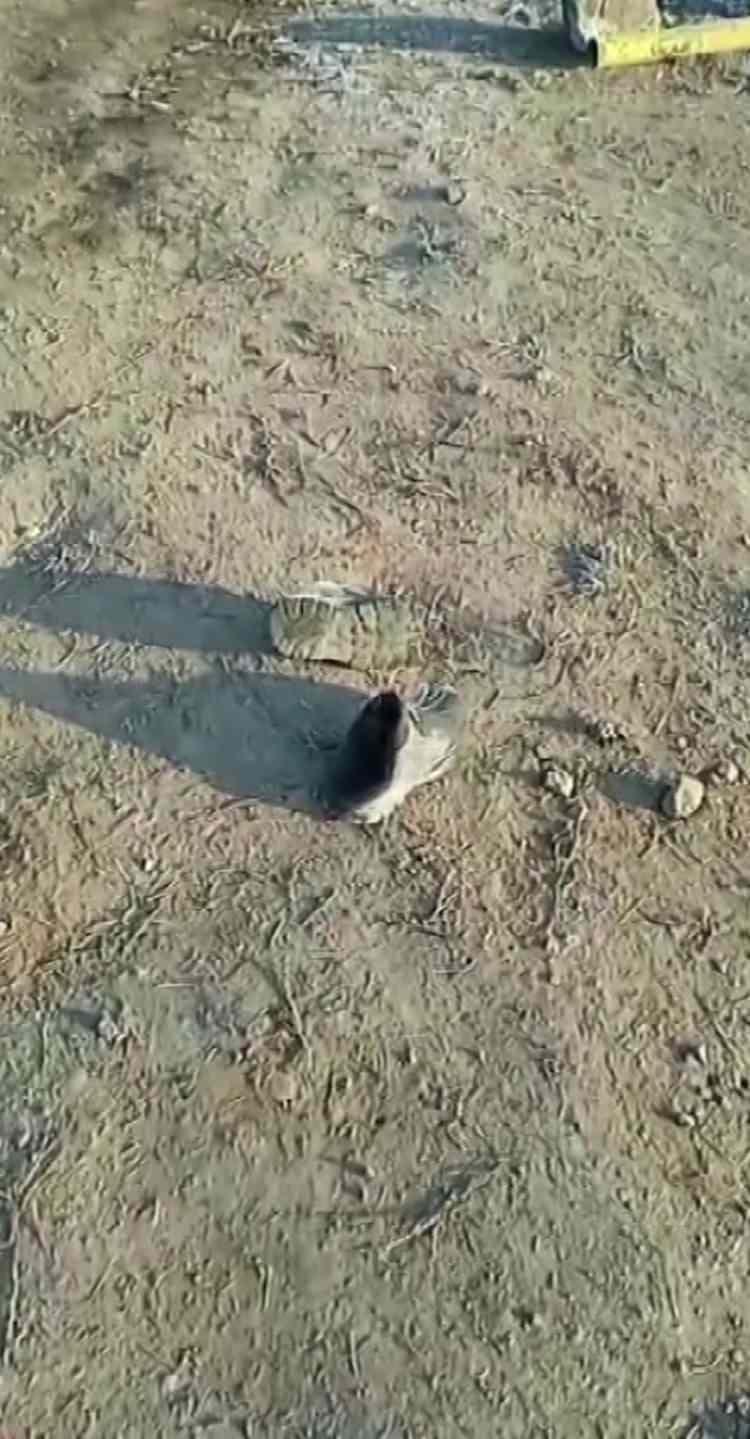 <p><strong><em>Hayalleri yarım kaldı maalesef. İsrail ve Amerika kahrolsunlar, kendi ateşlerinde yansınlar. Beni yaktılar, Rabbim onları da yaksın inşallah. Beni evladımdan ayırdılar. Ben yandım Allah kimseyi yakmasın. Ben evladımdan ayrıldım. Allah hi&ccedil;bir anneye b&ouml;yle bir acı yaşatmasın."</em></strong>&nbsp;</p>

<p>&nbsp;</p>

<p><em><strong>KAYNAK: İHA&nbsp;</strong></em></p>
