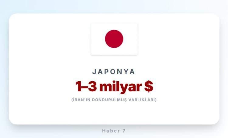 <p><span style="color:#B22222"><strong>8)&nbsp; JAPONYA</strong></span></p>
