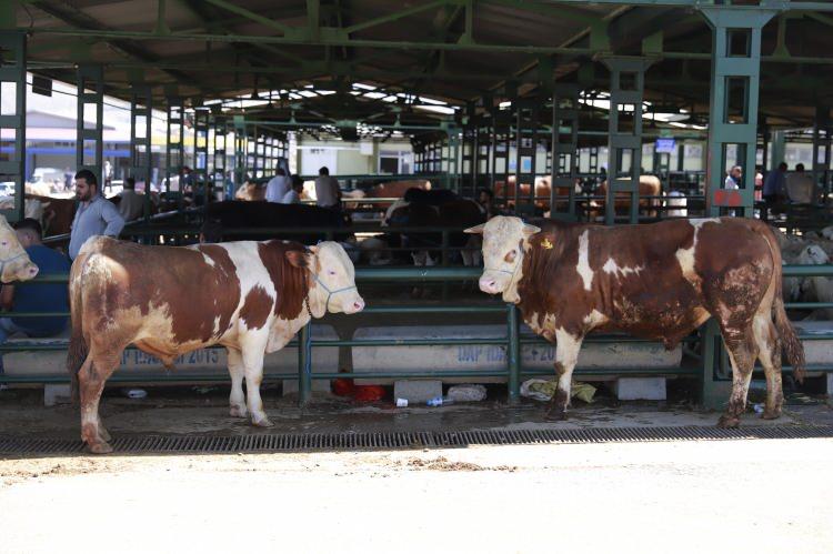 <p><strong>Kurban Bayramı Arefe G&uuml;n&uuml;:</strong> 26 Mayıs 2026 - Salı (Yarım G&uuml;n)</p>

<p><strong>Kurban Bayramı 1. G&uuml;n:</strong> 27 Mayıs 2026 - &Ccedil;arşamba</p>

<p><strong>Kurban Bayramı 2. G&uuml;n: </strong>28 Mayıs 2026 - Perşembe</p>

<p><strong>Kurban Bayramı 3. G&uuml;n</strong>: 29 Mayıs 2026 - Cuma</p>

<p><strong>Kurban Bayramı 4. G&uuml;n</strong>: 30 Mayıs 2026 - Cumartesi</p>
