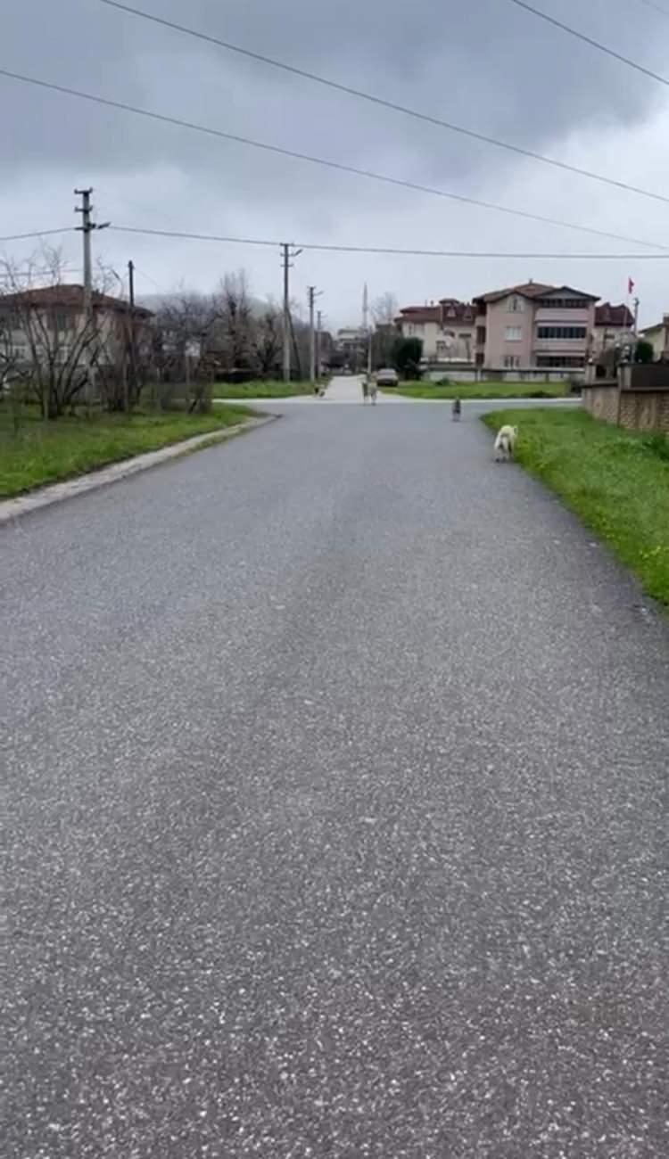 <p>K&ouml;peklerden korktuğu i&ccedil;in resmi belgeli kurusıkı tabanca alan ve bu sebeple bir &ccedil;ok işten &ccedil;ıkarıldığını &ouml;ne s&uuml;ren Emine Topal, yaşadığı s&uuml;reci ş&ouml;yle anlattı:&nbsp;</p>
