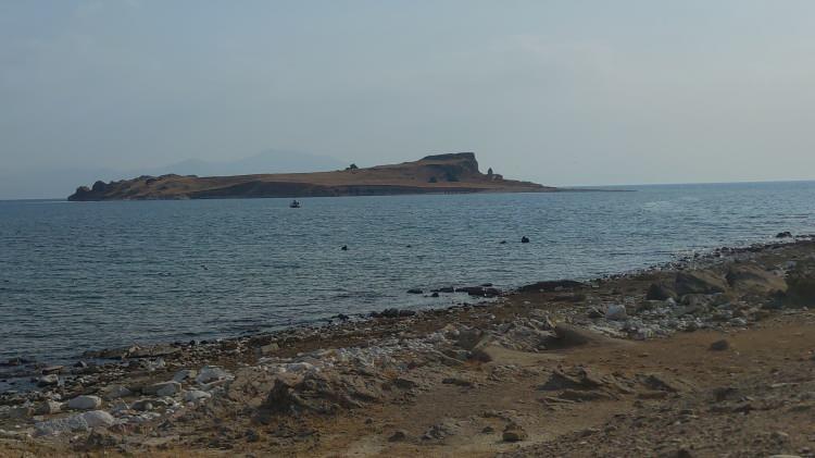 <p>Van Gölü aslında geceleri uyumuyor. Aksine gün boyu fotosentez yapıp besin üreterek içerisinde mikroskopik binlerce canlıyı besliyor. Gölün endemik türü olan ve önemli bir ekonomik, ekolojik değere sahip olan inci kefallerinin yaşamı için uygun bir zemin hazırlıyor. Şu andaki haritada gördüğümüz Van Gölü'ndeki klorofil-a yoğunluğunu gösteren Van Gölü Van Gölü'ne ait Sentinel uydu haritaları. Burada yeşilden kırmızıya doğru dönüşen renkler adeta Van Gölü'nün kan değerleri gibi. Buradaki renklerin bize söylediği aslında çok önemli anlamlar yüklü. Kırmızı renkler klorofiller konsantrasyonunun çok çok yüksek olduğu noktaları gösteriyor. Sarı biraz daha düşük, yeşil ise klorofiller konsantrasyonunun en düşük olduğu değerleri gösteriyor. Erciş körfezi şu gördüğümüz bölge. Van Gölü'ne en büyük su girdisi buralardan oluyor.</p>