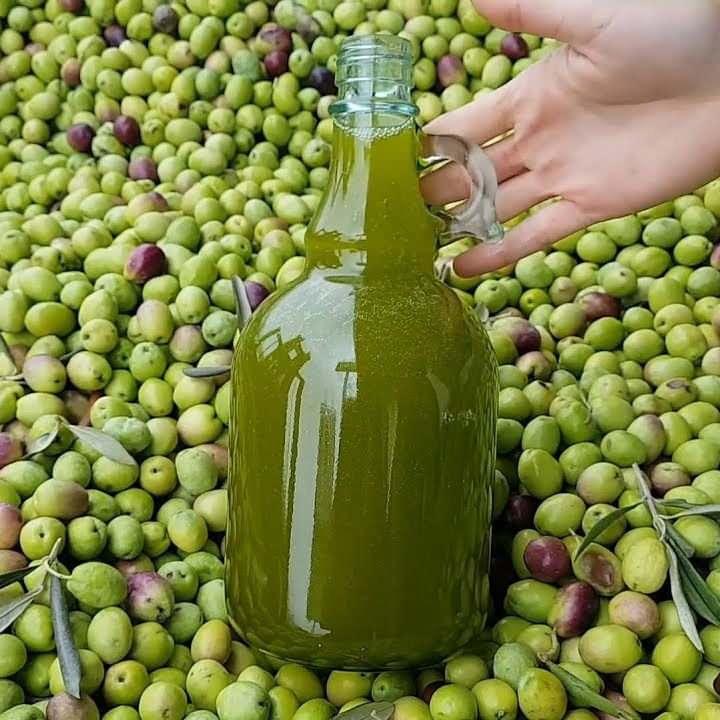 <p>Ege Belenkaya</p>

<p>Ege Sızma</p>

<p>Ege Tarım Birlik</p>

<p>Egeden</p>

<p>Egelim</p>

<p>Gemlik</p>
