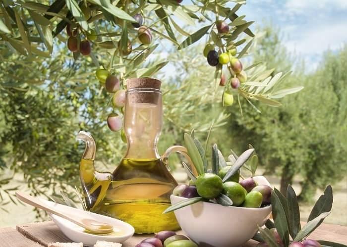 <p>Geyikli Gold</p>

<p>Gold Ayvacık</p>

<p>G&uuml;ney Egeden</p>

<p>K&ouml;y TatLux Ayvalık</p>

<p>Lux Ayvalık K&ouml;rfezim</p>

<p>Olive Santo</p>
