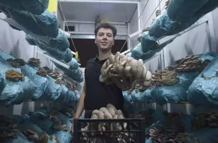 <p><strong>Antalya'nın Aksu il&ccedil;esinde yaşayan Salih G&uuml;naydın isimli gen&ccedil; bir avukat, tarıma duyduğu ilgi ve merakı mesleğe d&ouml;n&uuml;şt&uuml;rd&uuml;.&nbsp;</strong></p>
