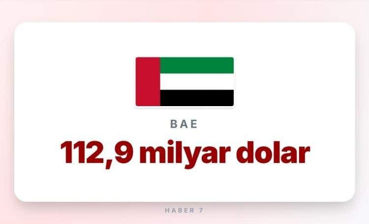 <p><span style="color:#B22222"><strong>19)  BİRLEŞİK ARAP HAREKATI</strong></span></p>
