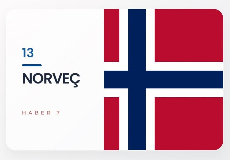 <p><span style="color:#B22222"><strong>13)&nbsp; NORVE&Ccedil;</strong></span></p>
