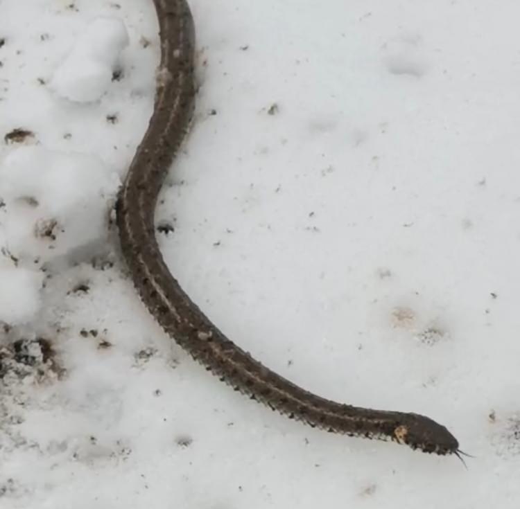 <p><span style="color:#A52A2A"><em><strong>KAYNAK: İHA&nbsp;</strong></em></span></p>
