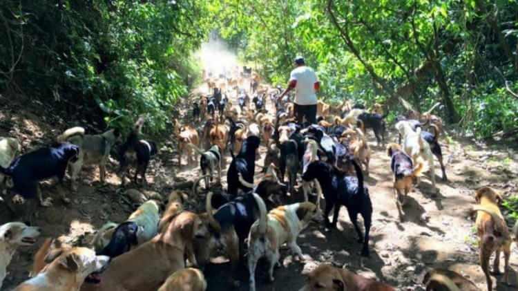 <p>S&ouml;z konusu yazı, İstanbul&rsquo;daki t&uuml;m il&ccedil;e belediyeleri ile ilgili kurumlara g&ouml;nderildi.</p>
