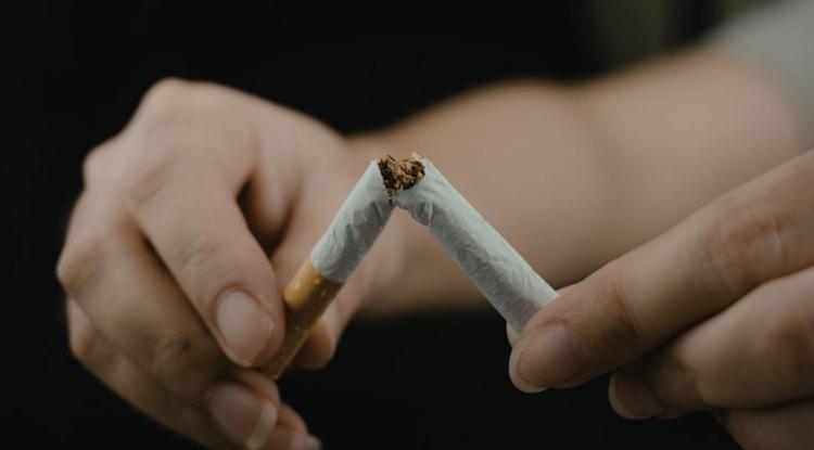 <p><span style="color:#FF0000"><strong>3. SİGARA VE ALKOLDEN UZAK DURMAK &Ouml;NEMLİ</strong></span></p>

<p><strong>Sigara ve alkol&uuml;n zararlarına dikkat &ccedil;eken Brooks, "Hi&ccedil;bir zaman bağımlı olmayan ya da k&ouml;t&uuml; alışkanlıklarını bırakan kişiler daha sağlıklı ve mutlu oluyor" değerlendirmesinde bulunuyor.</strong></p>
