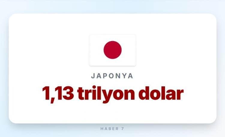 <p><span style="color:#B22222"><strong>1)  JAPONYA</strong></span></p>
