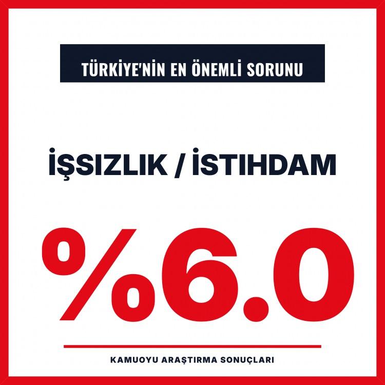 <p><span style="color:#B22222"><strong>İŞSİZLİK/İSTİHDAM:</strong></span></p>
