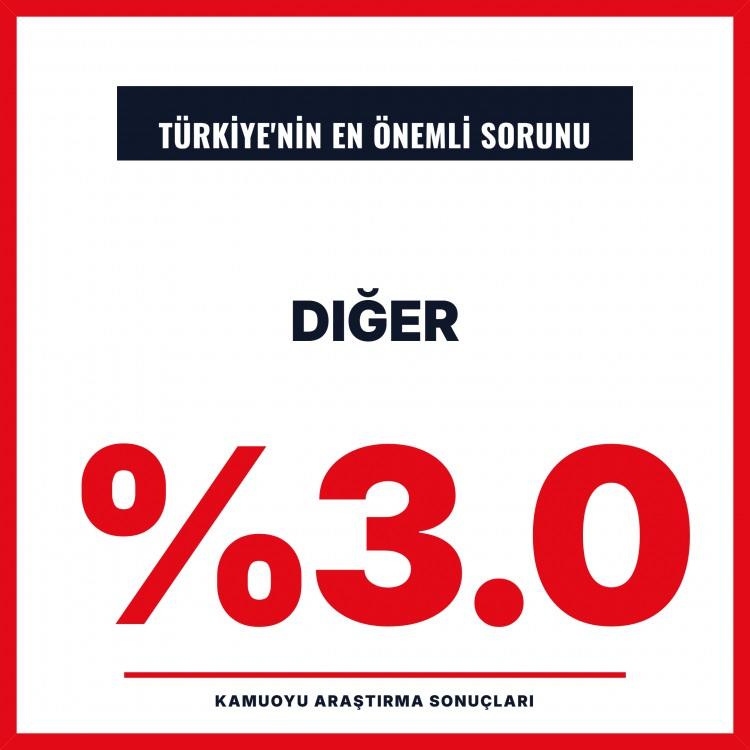 <p><span style="color:#B22222"><strong>DİĞER:%3.0</strong></span></p>

<p>&nbsp;</p>
