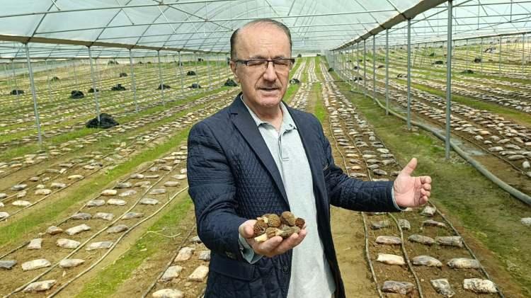 <p>Bahar yağışlarının ardından dağlık ve ormanlık alanlarda doğal yollarla yetişen Kuzug&ouml;beği mantarı, gerek yemeklerde kullanmak i&ccedil;in gerekse toplayıp satmak i&ccedil;in vatandaşların dağlık kesimlere akın etmesine neden oluyor. Kuzug&ouml;beği Mantarı Manavgat&rsquo;ta girişimci Ziraat M&uuml;hendisi &Ouml;mer Şahin&rsquo;e ilham oldu. Şahin, Seydiler Mahallesi&rsquo;nde kurduğu laboratuvar ve seralarda T&uuml;rkiye&rsquo;de ilk kez ticari anlamda Kuzug&ouml;beği mantarı yetiştirmeyi başardı.</p>

<p>&nbsp;</p>
