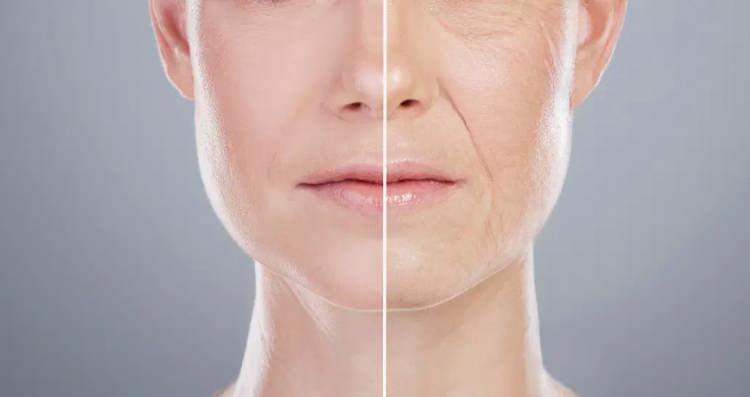 <p><span style="color:#B22222"><strong>ETKİSİ MERAK EDİLDİ</strong></span></p>

<p>G&uuml;lmenin sadece estetik değil, aynı zamanda psikolojik ve fizyolojik faydaları da bulunuyor.</p>

<p>&nbsp;</p>
