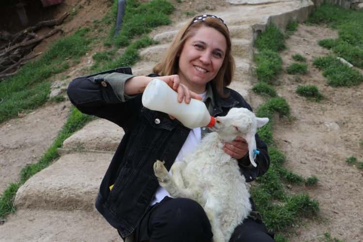 <p><span style="color:rgb(165, 42, 42)"><strong>"BUG&Uuml;N GELDİĞİM NOKTADAN &Ccedil;OK MUTLUYUM"</strong></span></p>

<p>&nbsp;</p>

<p>Uyar, projeye eşinin teşviki ile başladığını s&ouml;yleyerek zamanla ke&ccedil;ilerle arasında g&uuml;&ccedil;l&uuml; bir bağ oluştuğunu s&ouml;yledi.</p>

<p>&nbsp;</p>

<p>Uyar, yaptığı a&ccedil;ıklamada şunlara değindi:&nbsp;</p>

<p>&nbsp;</p>

<p><strong><em>&ldquo;Eşim Ankara Ke&ccedil;isi Halk Elinde Islah Projesi&rsquo;nin sorumlusu. Bu projeye başladığında ben de zaman zaman işletmelere giderken yanında yardıma gidiyordum. Sonra bu işi yapabileceğimi fark ettim.</em></strong></p>

<p>&nbsp;</p>

<p><strong><em>Hatta &lsquo;ben bu iş i&ccedil;in yaratılmışım&rsquo; dedim. Bu iş i&ccedil;in &ccedil;ok hevesle başladım. &Ccedil;evremde &lsquo;yapamazsın, ahıra giremezsin&rsquo; diyenler oldu; ama ben dinlemedim. Severek başladım ve bug&uuml;n geldiğim noktada &ccedil;ok mutluyum.&rdquo;&nbsp;</em></strong></p>
