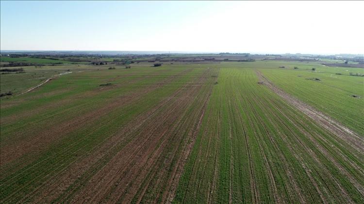 <p><span style="color:#B22222"><strong>HIZI YAVAŞLADI</strong></span></p>

<p>&Ouml;ğ&uuml;t, arsa piyasasının son &uuml;&ccedil; yılda &ccedil;ok hızlı bir y&uuml;kseliş yaşadığını hatırlatarak,&nbsp;&ldquo;Ancak bug&uuml;n geldiğimiz noktada &ouml;nemli bir değişim var. Fiyatlar h&acirc;l&acirc; artıyor ama artık eskisi kadar hızlı değil. Mart 2023&rsquo;te T&uuml;rkiye genelinde ortalama arsa metrekare fiyatı 2 bin 696 TL seviyesindeydi. Mart 2026 itibarıyla bu rakam 7 bin 92 TL&rsquo;ye y&uuml;kseldi.</p>

<p>Buna rağmen aynı d&ouml;nemde aylık artış oranı y&uuml;zde 7&rsquo;den y&uuml;zde 1&rsquo;e, yıllık artış oranı ise y&uuml;zde 118&rsquo;den y&uuml;zde 23 seviyesine geriledi. Bu tablo şunu s&ouml;yl&uuml;yor: Arsa piyasası y&uuml;kselmeye devam ediyor ama artık daha dengeli ve &ouml;ng&ouml;r&uuml;lebilir bir d&ouml;neme girdi&rdquo;&nbsp;diye konuştu.</p>

<p>&nbsp;</p>
