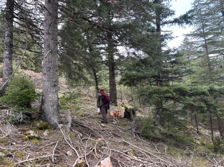<p>Sezonun başlamasıyla birlikte Aksekililer sabahın erken saatlerinde dağların yolunu tutuyor.</p>
