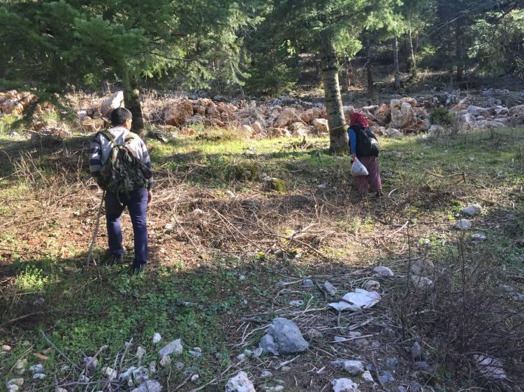 <p>Toplayıcılar, g&uuml;n boyu dağ taş gezerek mantar ararken, bir kişinin g&uuml;nl&uuml;k ortalama<span style="color:#A52A2A"><strong><em> 1 ila 5 kilogram arasında &uuml;r&uuml;n bulabildiği belirtiliyor.</em></strong></span></p>
