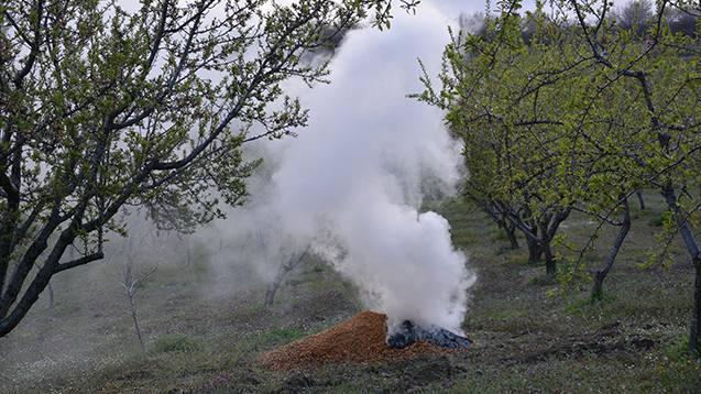 <p><strong><em>&ldquo;5 bin badem ağacımız var. 25 bin ton rekolte bekliyoruz. Zirai don sebebiyle ge&ccedil;en yıl &uuml;r&uuml;n alamadık. </em></strong></p>

<p>&nbsp;</p>

<p><strong><em>Bu yıl tedbirlerimizi daha da artırdık. Şu an en kolay yapabileceğimiz dumanla m&uuml;cadelede. </em></strong></p>

<p>&nbsp;</p>

<p><strong><em>Don ve dolu sigortamızı yaptırdık fakat m&uuml;cadelemizi bırakmıyoruz. </em></strong></p>

<p>&nbsp;</p>

<p><strong><em>İlk &ouml;nce kendi &uuml;r&uuml;nlerimiz olan bademlerimizin kabuklarını yakıyoruz. Kabuklar daha uzun s&uuml;re dumanlama yapıyor.&rdquo;</em></strong>&nbsp;</p>
