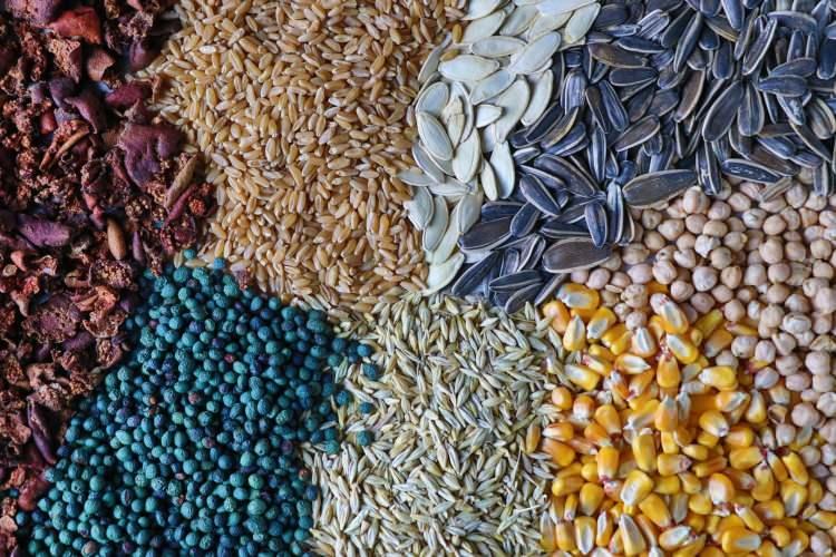 <p><span style="color:#A52A2A"><strong>"ŞİMDİ PEK YAPAN YOK"</strong></span></p>

<p>&nbsp;</p>

<p>Gavut geleneği hakkında bilgi &Ccedil;akar, şunları kaydetti:&nbsp;</p>

<p>&nbsp;</p>

<p><strong><em>"Gavut geleneğini biz devam ettiriyoruz. Atalarımızdan, dedelerimizden kalma bir miras. Şimdilerde pek yapan yok.</em></strong></p>
