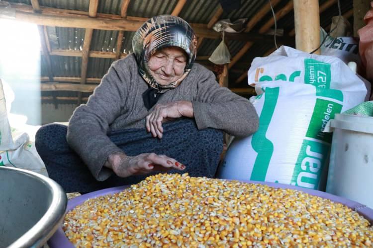 <p>Hazırlanan karışımın farklı şekillerde t&uuml;ketilebileceğine dikkat &ccedil;eken &Ccedil;akar, <strong><em>"<em>B</em>unu pekmezle karıştırıp yiyoruz. D&uuml;nyanın en doğal tatlısı. Şekerle, pekmezle veya tereyağıyla kavurup yiyenler var ama benim tavsiyem pekmezle karıştırıp yemek. En doğalı ve g&uuml;zelidir. Gavutun besin değeri y&uuml;ksektir." </em></strong>ifadelerini kullandı.&nbsp;</p>
