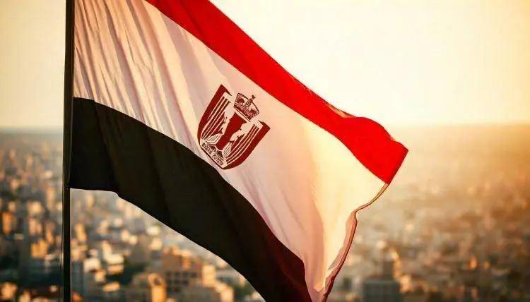 <p><strong>15)&nbsp; MISIR</strong></p>
