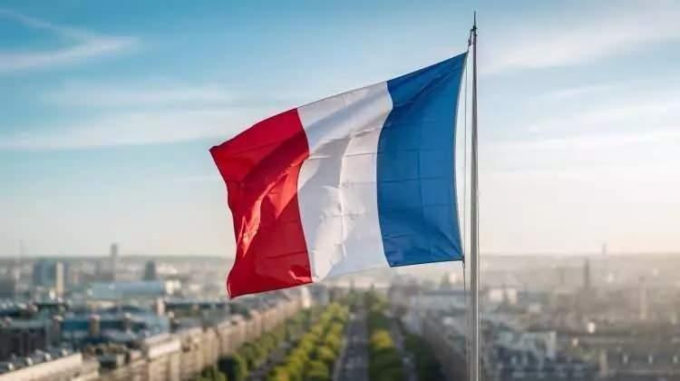 <p><strong>12)&nbsp; FRANSA</strong></p>
