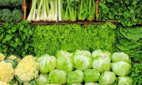 <p><strong>ABD'de yapılan kapsamlı bir analiz, "d&uuml;nyanın en sağlıklı yeşilliği" tartışmasına bilimsel bir yanıt verdi.</strong></p>
