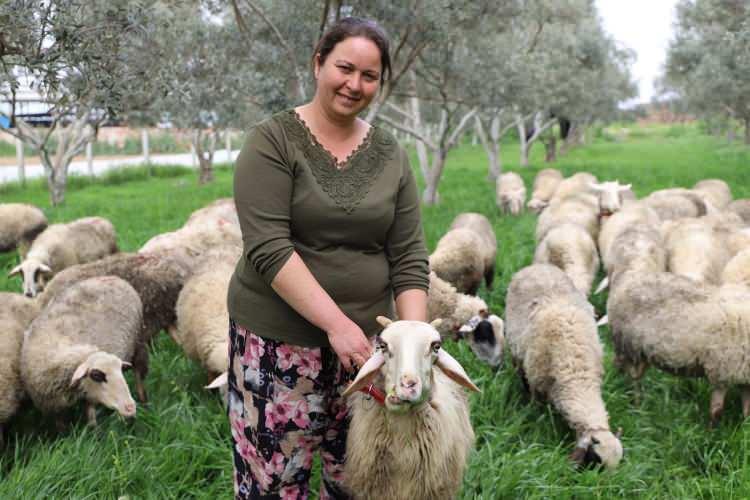 <p><span style="color:#A52A2A"><strong>TORUNUNU DOĞUCA HEDİYE ETTİ</strong></span></p>

<p>&nbsp;</p>

<p>Tire'nin kırsal Kahrat Mahallesi'nde yaşayan<strong><em> İlknur &Ouml;ktem</em></strong>, <span style="color:#A52A2A"><strong><em>oğlunun doğumunda babasının hediye ettiği kuzunun </em></strong></span>b&uuml;y&uuml;y&uuml;p yavrulamasının ardından hayvancılık yapmaya başladı.&nbsp;</p>
