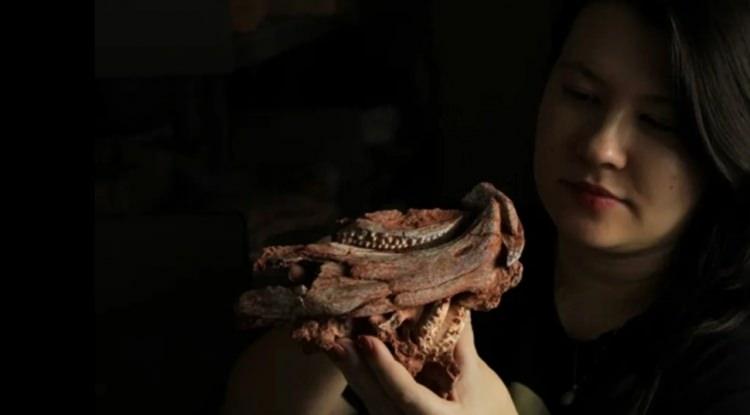 Brezilya'da 230 milyon yıl &ouml;ncesine ışık tutan keşif: Yeni s&uuml;r&uuml;ngen t&uuml;r&uuml; bulundu