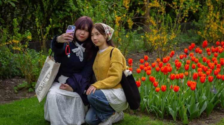 <p><strong>Daha sonra takvimler 1641 yılını g&ouml;sterdiğinde Keukenhof Şatosu inşa edildi ve b&ouml;lge genişleyerek 200 hektarın &uuml;zerine &ccedil;ıktı.</strong></p>
