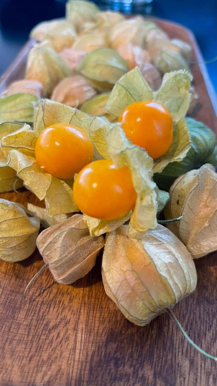 <p><strong>Son yıllarda sağlığına &ouml;nem verenlerin favori listesinde yer alan bu egzotik misafir nedir, derseniz "Altın &Ccedil;ilek" ile tanışmaya hazır olun.</strong></p>
