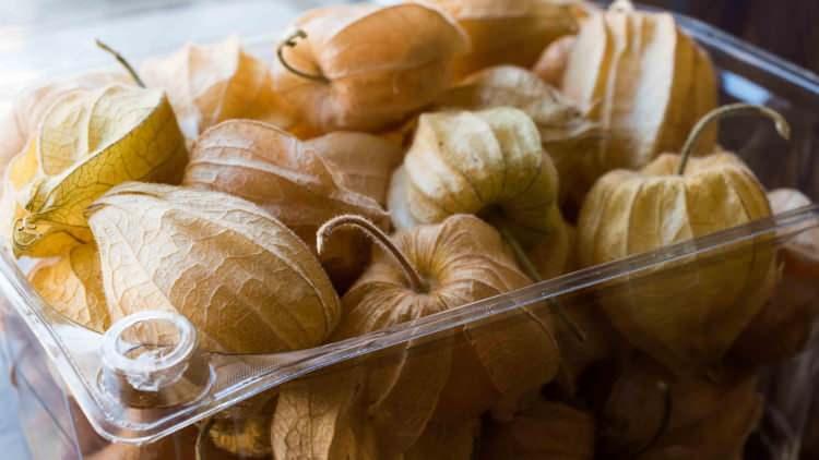 <p><span style="color:#FF0000"><strong>BAĞIŞIKLIK SİSTEMİNİ KORUR</strong></span></p>

<p><strong>Bağışıklık sistemi i&ccedil;in de &ouml;nemli bir rol &uuml;stlenen bu lezzet, v&uuml;cudun savunma mekanizmasını g&uuml;&ccedil;lendirir. &Ouml;zellikle mevsim ge&ccedil;işlerinde t&uuml;ketilecek altın &ccedil;ilek, v&uuml;cudun enfeksiyonlara karşı daha diren&ccedil;li olmasını sağlar.</strong></p>
