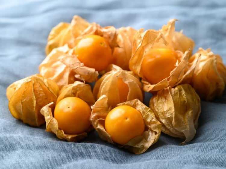 <p><strong>İ&ccedil;eriğindeki A vitamini ve karotenoidler (zeaksantin ve l&uuml;tein) sayesinde g&ouml;z sağlığını da koruyan meyve, kalsiyum ve fosforla kemik yapısını destekliyor.</strong></p>
