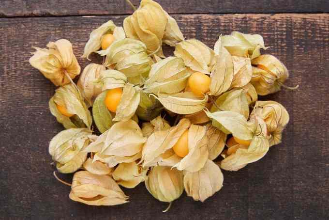 <p><span style="color:#FF0000"><strong>SİNDİRİM SİSTEMİNE KATKI SAĞLAR</strong></span></p>

<p><strong>Lifli yapısı sayesinde sindirim sistemine katkı sağlayan meyve, kilo kontrol&uuml; s&uuml;recinde olanlar i&ccedil;in tokluk hissi vererek harika bir destek&ccedil;i oluyor.</strong></p>
