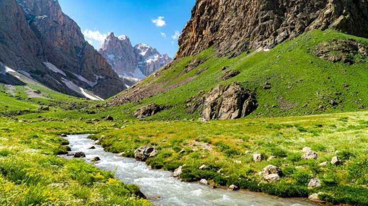 <p>HAKKARİ</p>

<p>Ters Lale Motifli Kilim,&nbsp;Şemdinli Balı...</p>
