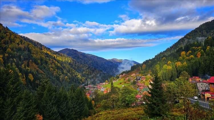 <p>RİZE</p>

<p>Rize &ccedil;ayı, meşhur Anzer balı veya kestane balı, el yapımı şimşir kaşık, Keşan bezi...</p>
