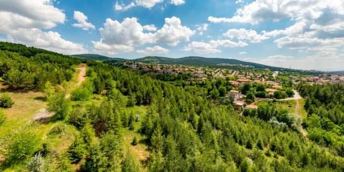 <p>YOZGAT</p>

<p>Parmak &Ccedil;&ouml;rek</p>
