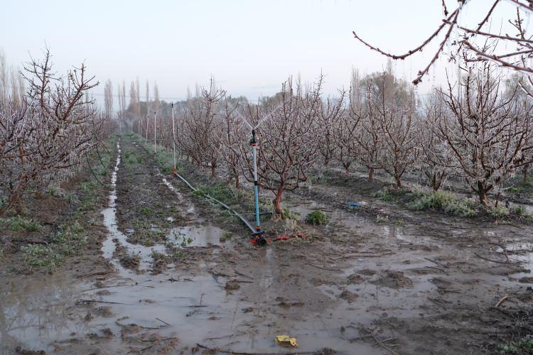 <p><span style="color:#A52A2A"><em><strong>KAYNAK: DHA&nbsp;</strong></em></span></p>
